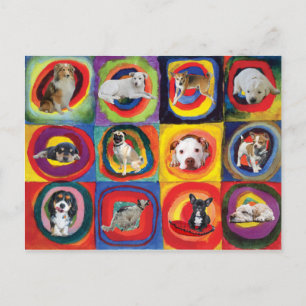 Study of Dogs Postcard