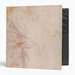 Study of Drapery  c.1516 Binder