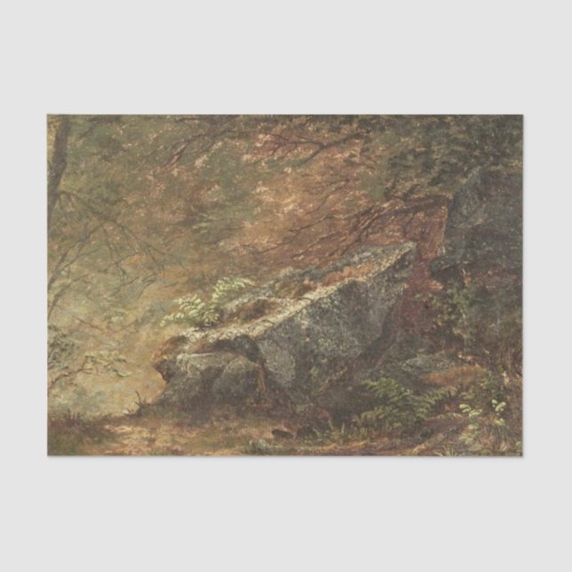 Study of Ferns by Mary Josephine Walters Tissue Paper (Front)