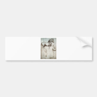 Study of horse. bumper sticker