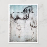 Study of Horse, Leonardo da Vinci