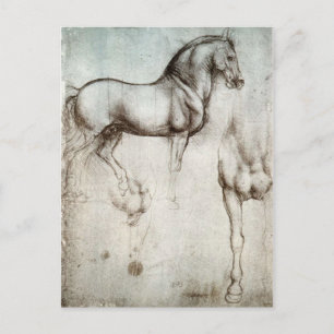 Study of horses - Leonardo da Vinci Postcard