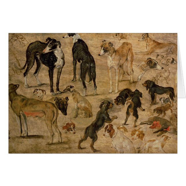 Study of Hounds, 1616 (Front Horizontal)