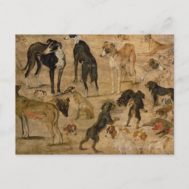 Study of Hounds, 1616 Postcard (Front)