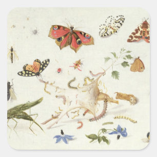 Study of Insects and Flowers Square Sticker