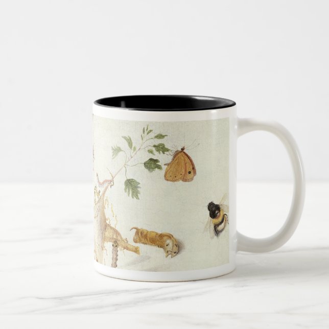 Study of Insects and Flowers Two-Tone Coffee Mug (Right)