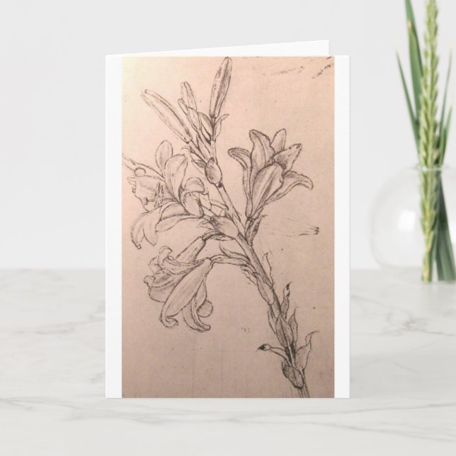 Study of lilies card (Front)