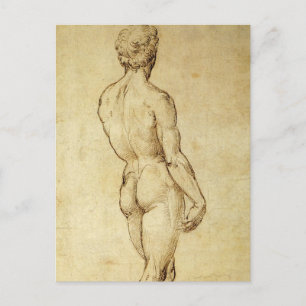 Study of Michelangelo's David Statue by Raphael Postcard