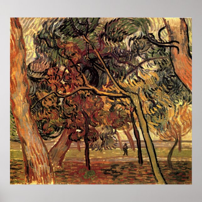 Study of Pine Trees by Vincent van Gogh Poster (Front)
