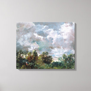 Study of Sky and Trees (oil on canvas) Canvas Print