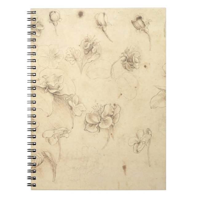 Study of the Flowers of Grass-like Plants (Briza M Notebook (Front)