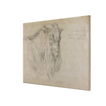 Study of the Head of a Ram (black, sanguine & whit Stretched Canvas Print
