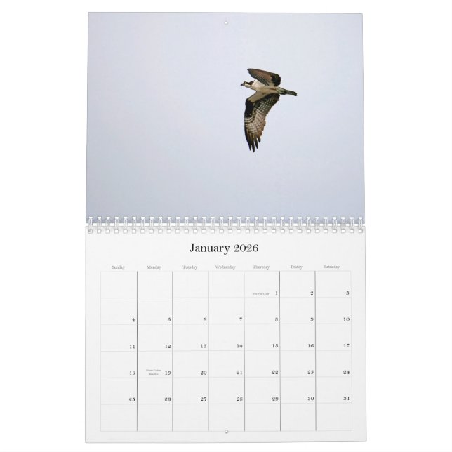 Study of the Seahawk Calendar (Jan 2026)