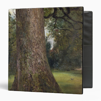 Study of the Trunk of an Elm Tree, c.1821 (oil on Binder
