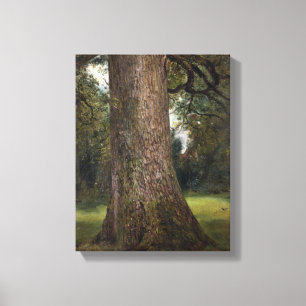 Study of the Trunk of an Elm Tree, c.1821 (oil on Canvas Print