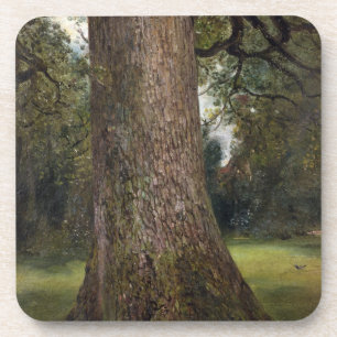 Study of the Trunk of an Elm Tree, c.1821 (oil on Coaster