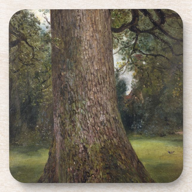 Study of the Trunk of an Elm Tree, c.1821 (oil on Coaster (Front)