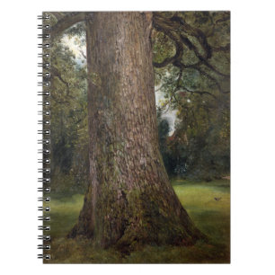 Study of the Trunk of an Elm Tree, c.1821 (oil on Notebook