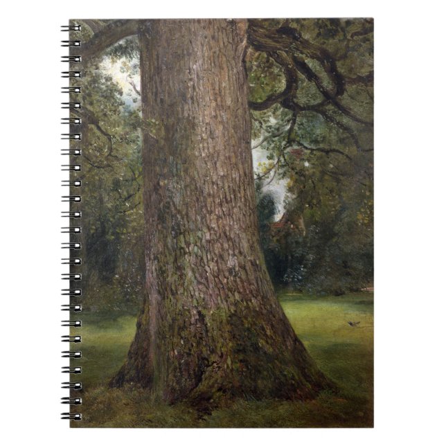 Study of the Trunk of an Elm Tree, c.1821 (oil on Notebook (Front)