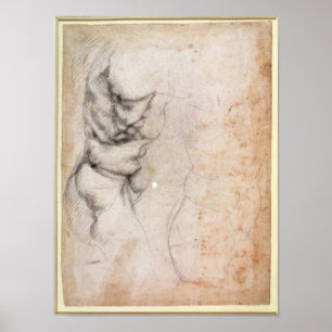Study of torso and buttock poster