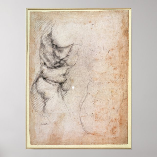 Study of torso and buttock poster (Front)