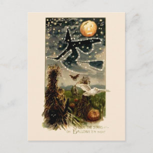 Study the Stars on Halloween Night- Postcard