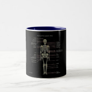 Study Them Bones... Two-Tone Coffee Mug