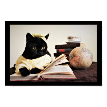 Study Time 
