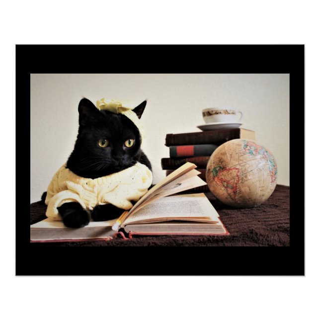 Study Time  Poster (Front)