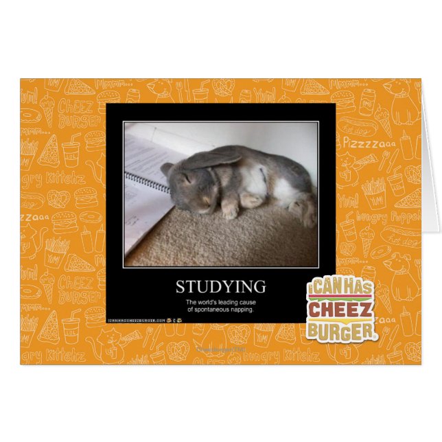 Studying (Front Horizontal)