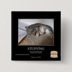 Studying 2 Inch Square Button