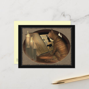 Studying Cat Lessons Postcard