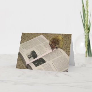 Studying Hedgehog Graduation Card