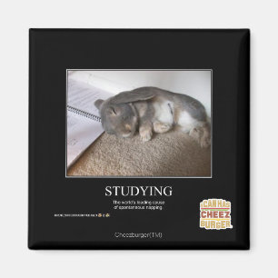 Studying Magnet