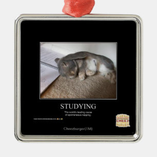 Studying Metal Ornament