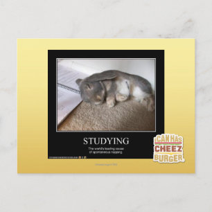 Studying Postcard