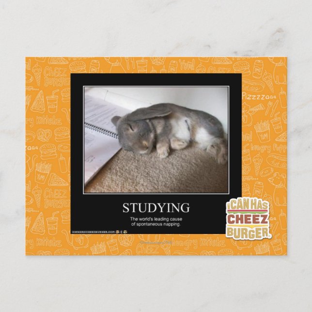 Studying Postcard (Front)