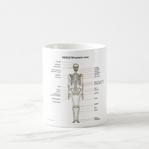 StudyThem Bones... Coffee Mug