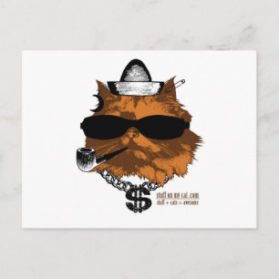 Stuff on my Cat - 2 kewl Postcard