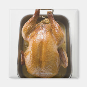 Stuffed roast turkey in roasting tray, close up magnet