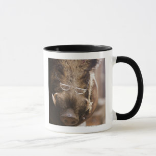Stuffed Wild Boar Wearing Glasses Outside Mug