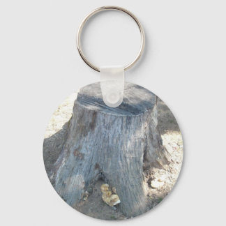 Stump Keychain