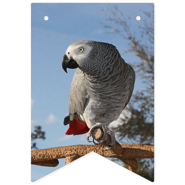 Stunning African Grey Parrot Bunting Flags (First Flag)