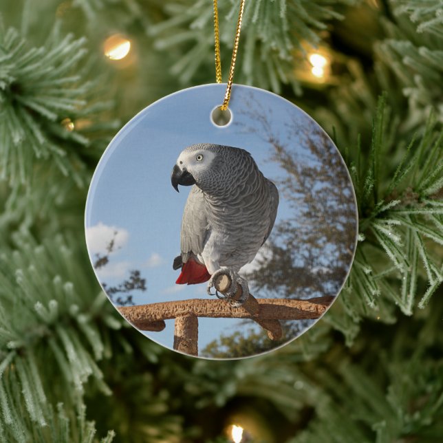 Stunning African Grey Parrot Ceramic Ornament (Tree)