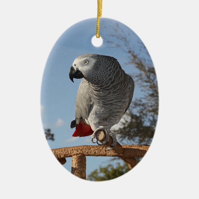 Stunning African Grey Parrot Ceramic Ornament (Front)