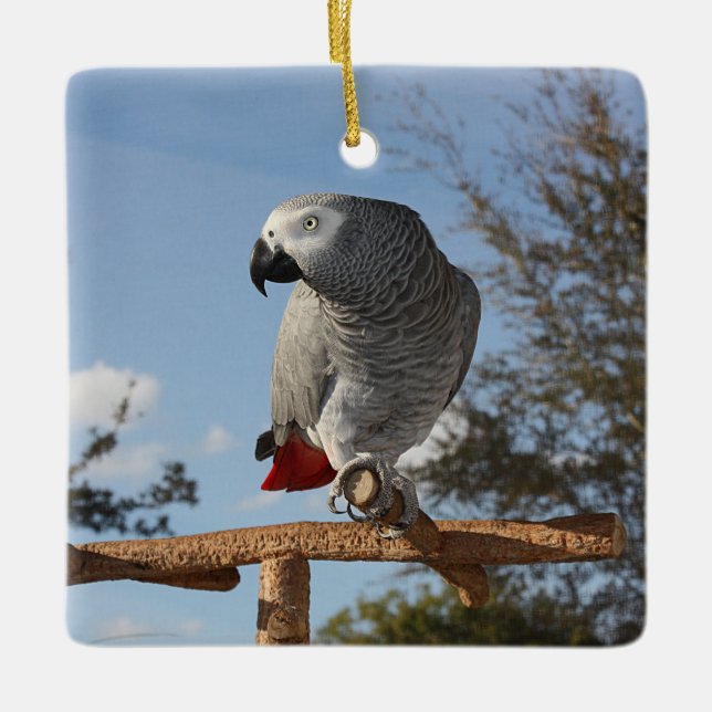 Stunning African Grey Parrot Ceramic Ornament (Front)