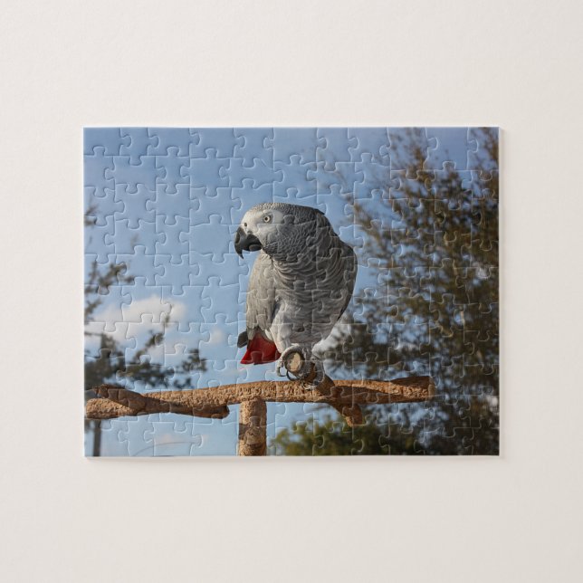 Stunning African Grey Parrot Jigsaw Puzzle (Horizontal)