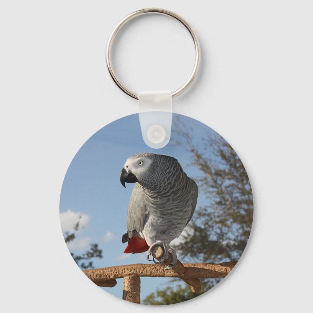 Stunning African Grey Parrot Keychain (Front)