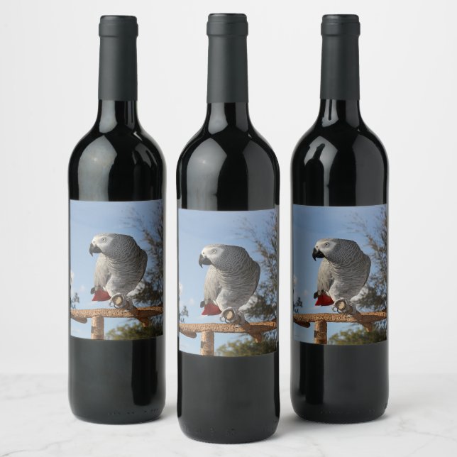 Stunning African Grey Parrot Wine Label (Bottles)