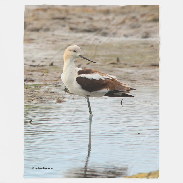 Stunning American Avocet Wading Bird at the Beach Fleece Blanket (Front)